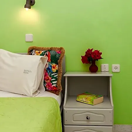 Dionysos Lefkas Aparthotel Nydri (Lefkada)